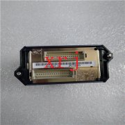 AD202MV FOXBORO现货