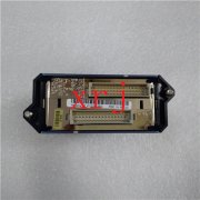 P0916NK FOXBORO现货