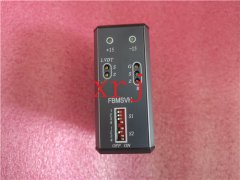 P0971QZ FOXBORO现货