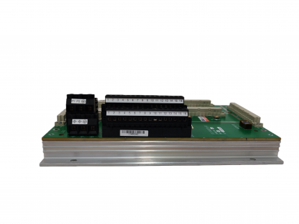 TRICONEX DO2401 7400209-030 Digital output module