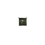 ABB 216EA61B Analogue Input Unit for Generator Protection